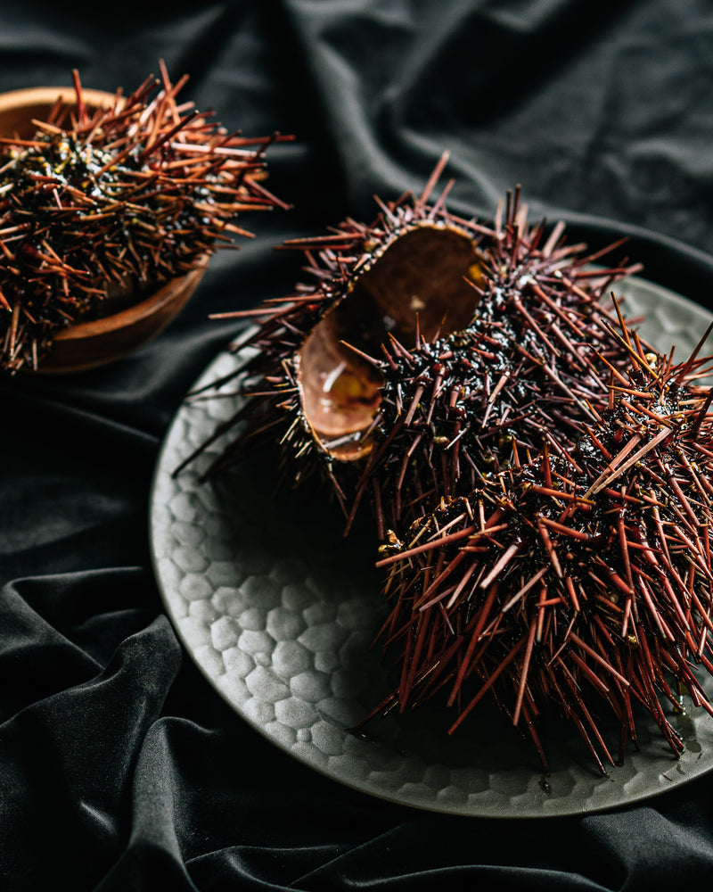 Seafood Feature: Fresh BC Sea Urchin