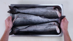 Fresh Wild BC Whole Black Cod (Sablefish)