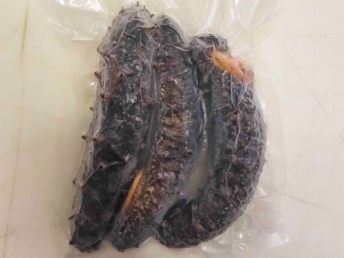 Frozen Whole Cooked Wild BC Sea Cucumber