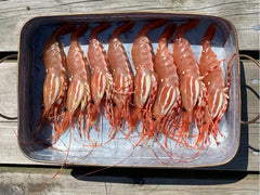 RICHMOND PICK-UP: Live BC *JUMBO SIZES* Spot Prawns Pre-order (lb)