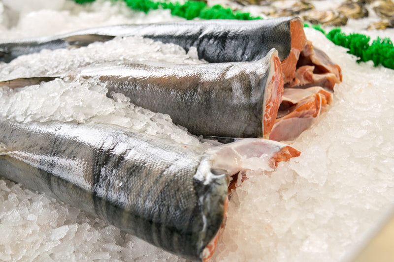 Fresh BC Whole Coho Salmon H/G