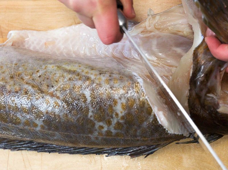 Bc Cod Fish Fresh Local BC Whole Fish | eatfish.ca