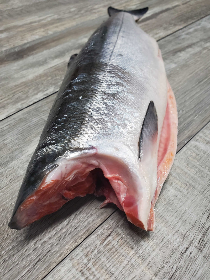 Fresh Whole Copper River Sockeye Salmon