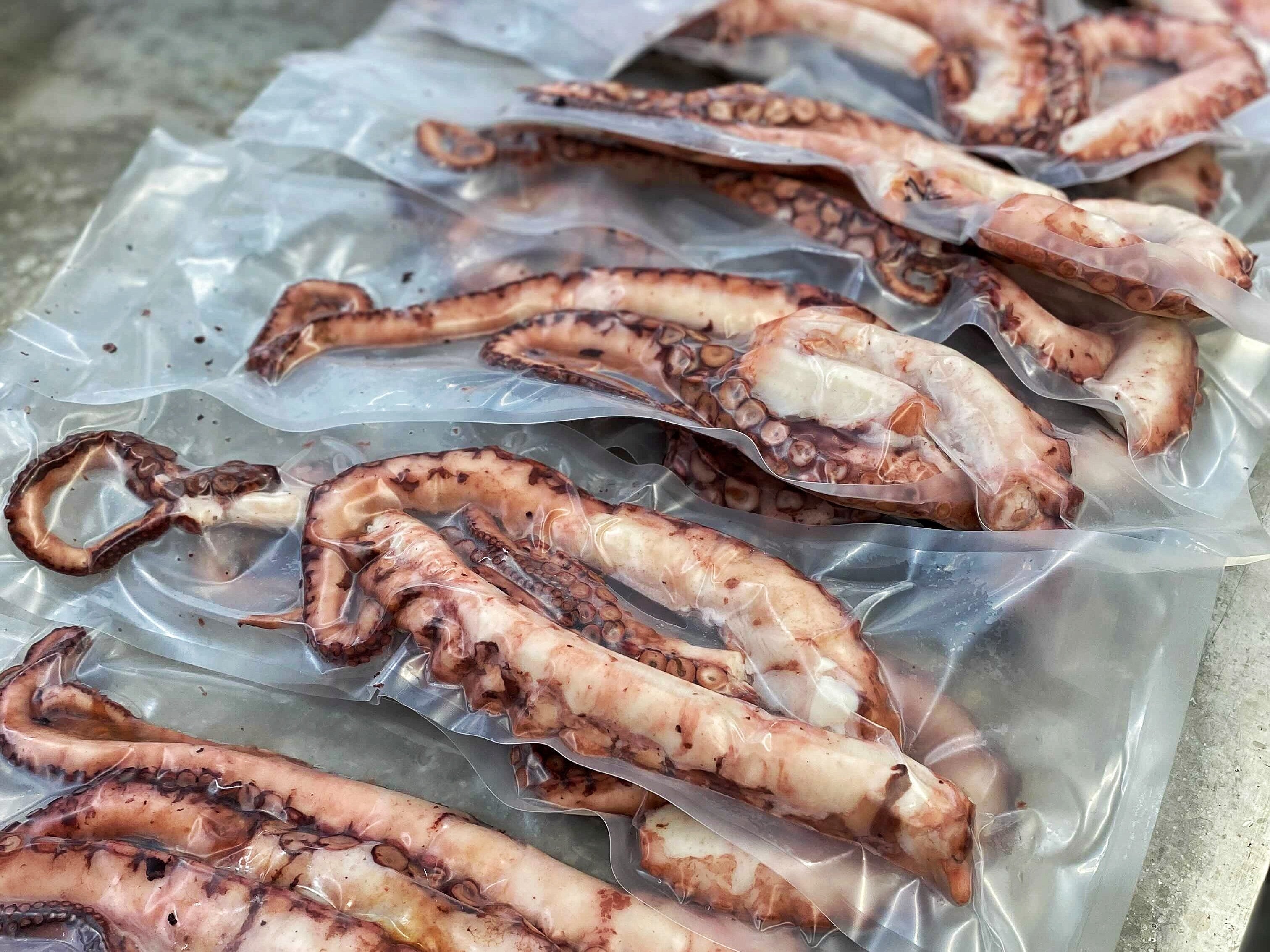 seafood octopus