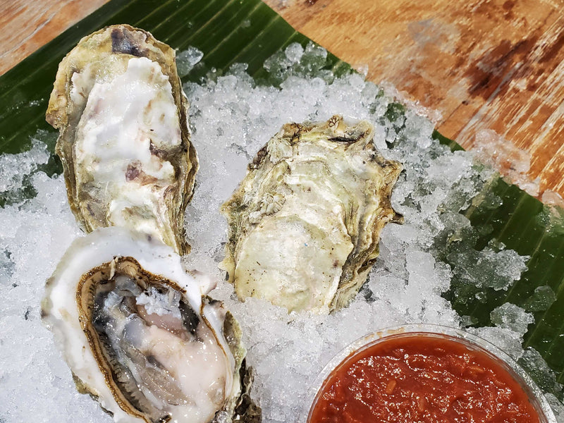 Preorder and Save - Live Small BC Oysters (1 Dozen)