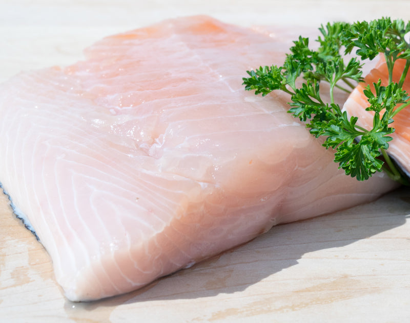 Fresh Wild White Spring Salmon Fillets Bundles