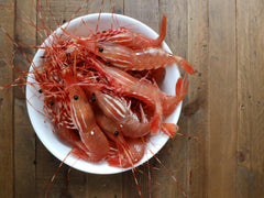 FALSE CREEK PICK-UP: Live BC Spot Prawns Pre-order